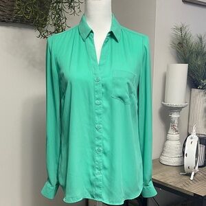 The Limited Aqua Button-Down Shirt